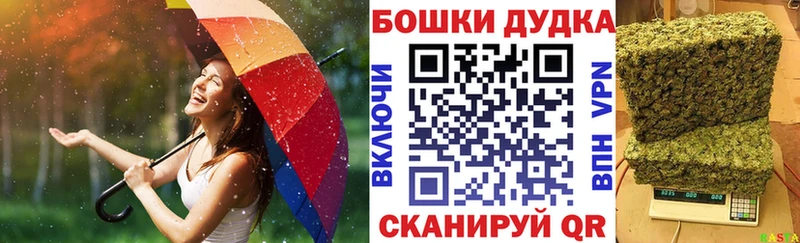 Бошки марихуана Bruce Banner наркошоп Долинск